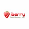 iBerry