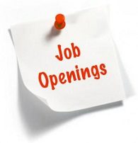 Lowongan kerja bidang Web Programmer dan Marketing