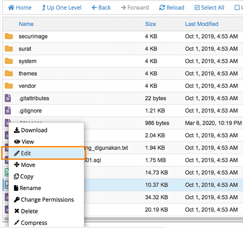 directory public_html cpanel