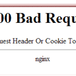 Solusi Nginx Error 400 Bad Request - Request Header Or Cookie Too Large