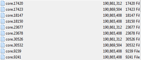 File core. pada account hosting